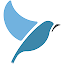 Learn 160 Languages | Bluebird
