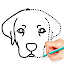 How To Draw Animal