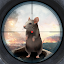 Rat Sniper: Pest Hunter