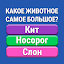 Знания Сила : Викторина