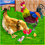 Hen Simulator Chicken Farming