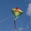 Kite Flying 2023 (Kite Game)