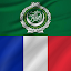 Arabic - French : Dictionary & Education