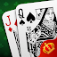 Pinochle - Cards and Fun