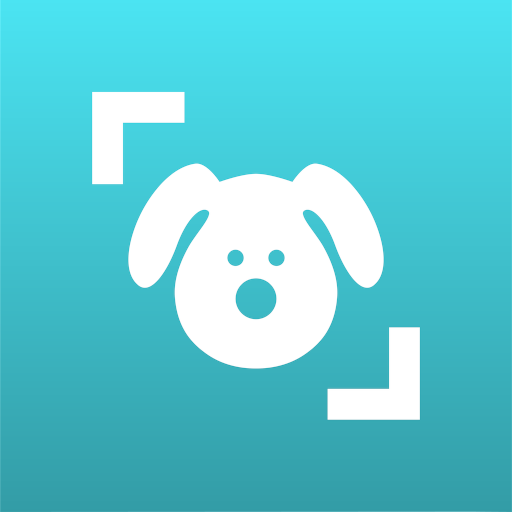 Play Dog Scanner: Breed Recognition Online