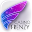 Casino Frenzy