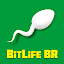 BitLife BR - Simulação de vida