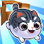 Kitty in the Box 2