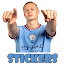 Haaland Stickers