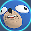 Fast Version for Sanic Ball