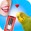 Bird Translator Simulator