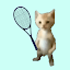 Cat Tennis Champion