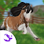 Star Stable Online