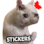 Stickers Memes Gatos WASticker
