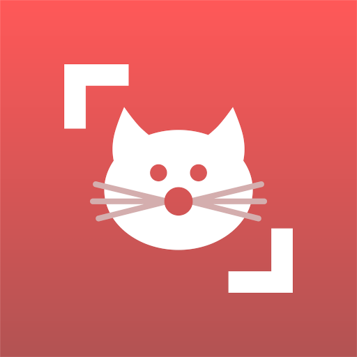 Play Cat Scanner: Breed Recognition Online