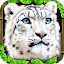Snow Leopard Simulator