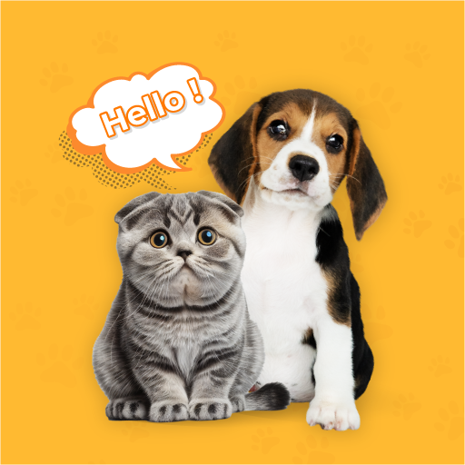 Play Dog & Cat Translator Prank App Online