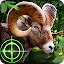 Wild Hunter 3D