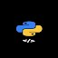 Compile Python