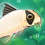 Pondlife — Relaxing Fish Game