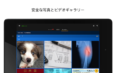 https://cdn-icon.bluestacks.com/5DLdtNHZAMeJQasNHc674Ti0QfBsKoKcUiv_Sc-iq8HIMnf9_47Ll64ZL0bF8OLrleZj6_J3AwOprx9x6X-Jqw