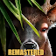 Life Of Deer Remastered