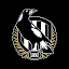Collingwood Official App