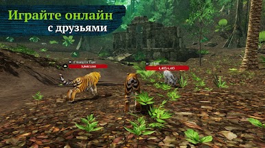 https://cdn-icon.bluestacks.com/6KQ0IyWmeZ4bJx8_fw-dkRECdcZuEm1JDX5IpQRkJ2HJZVNCW-Sge3Wy7EndcuqidxJJcNxqMOkRUat2lbZRlA