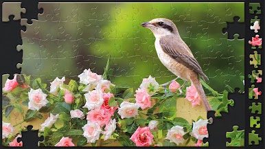 https://cdn-icon.bluestacks.com/6QtfiumO6qVZhg73zi1AgK_-wyjwVpGvzRwPb8kDSLRPgtOyUudVD9Fv_97eT_0gK6bN5ou9GqyyQaM6Gj5Fcng