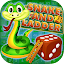 Snakes Ladders