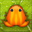 Pocket Frogs