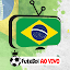 futebol brasileiro ao vivo