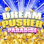 ドリームプッシャーパラダイス　メダルゲーム