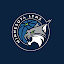 Minnesota Lynx