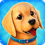 Dog Town: Pet Shop, Care Games