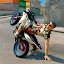 Wheelie Master: Moto Ride 3D