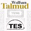 Wolfson Talmud