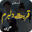 Qurbat E Dill Baram Urdu Novel