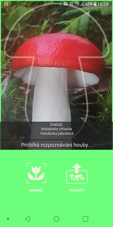 https://cdn-icon.bluestacks.com/84Eu6Wf1iVezm1KhsJ5JtPe-wqCMe8q-TRxoAdQEBlDBhyg_CHvarIisH6uyC3tDGxX86e0Ai691G7IxW-ZQ