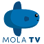 Mola TV - Broadcaster Resmi Liga Inggris 2019-2022