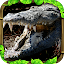 Wildlife Simulator: Crocodile
