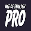 Use of English PRO