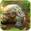 Furious Komodo Dragon Simulator