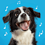 Talking Pet: Revive AI Photo