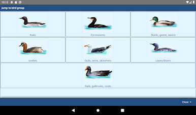 https://cdn-icon.bluestacks.com/A1sLlgJFVqFWQbbYAVjxZ_vorWEzYwAGn3w2PJtqGDfrQN1FJpUenpbGlSs_lbUxXfPTL226Z__PRXhu_cKSloA