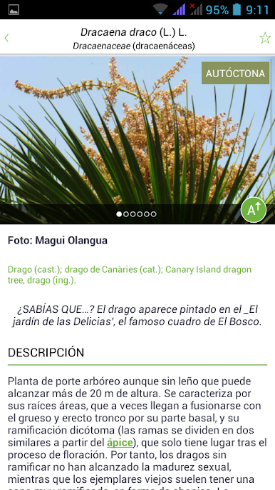 https://cdn-icon.bluestacks.com/APsJaCgabvzo66Y_47ZrUddsL4o3Tu6Z-0Y14gb3btTZs5f_JvsIg0jYm5dXCpUjUi-sxapsjzN7fWb5GKEsyUs