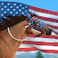 Rival Stars Horse Racing