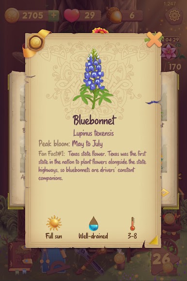 https://cdn-icon.bluestacks.com/Aq_GOFDTvqkBdydND6US7C4dWj8WRp5mFde9py4s0agAXZwY51OARWx6vpeCioCxPmQGMm3xWhriFVkDf2Pp4Q