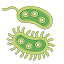 Bacteria: Types, Infections