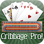 Cribbage Pro Online!